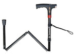 Walking Stick